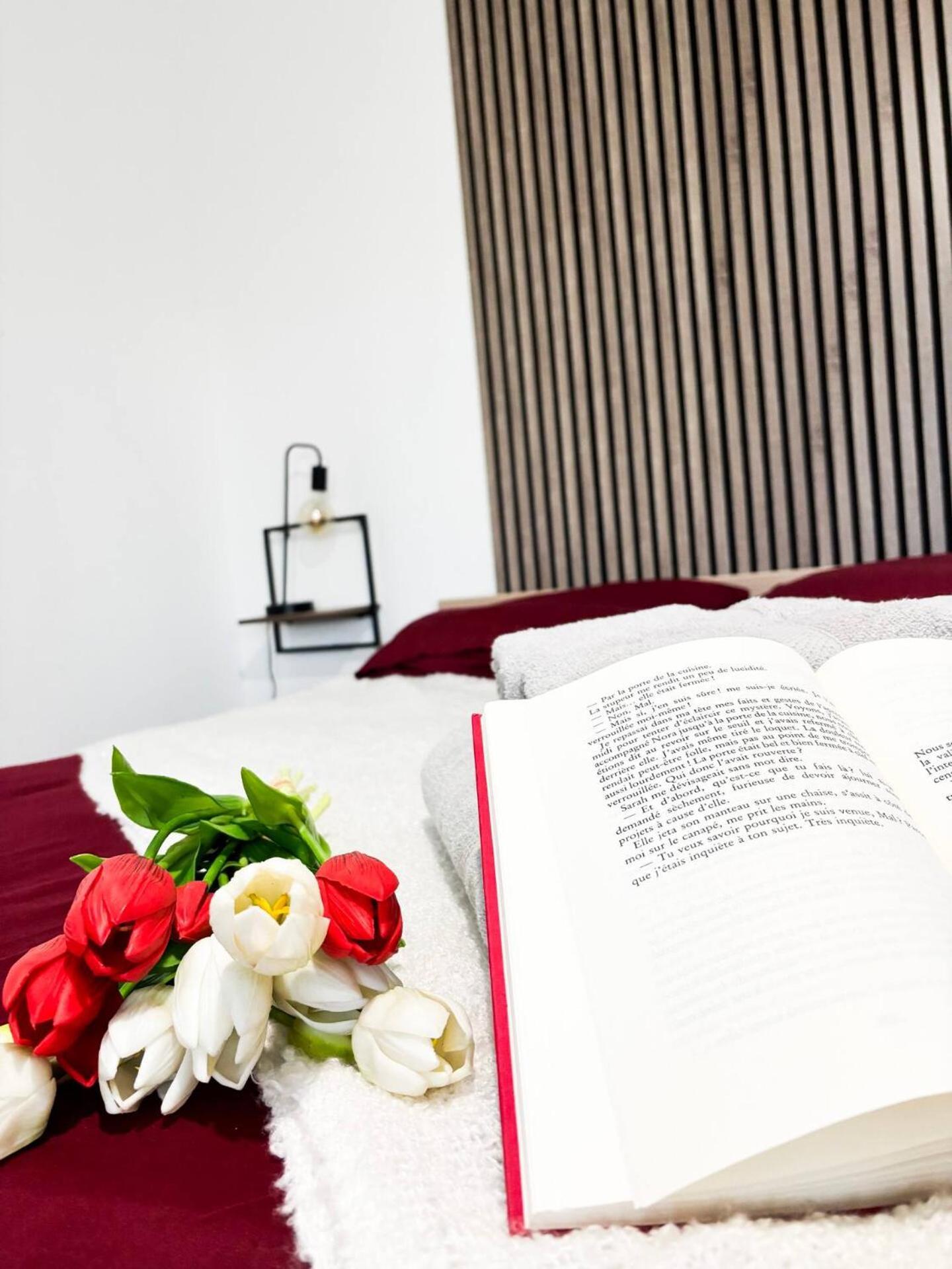 Appartement Le London, Proche Aeroport Saint-Louis (Haut-Rhin)